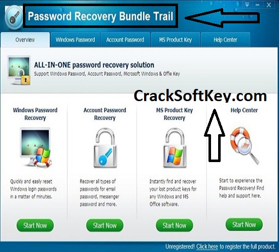 Password Recovery Bundle Crack 2024